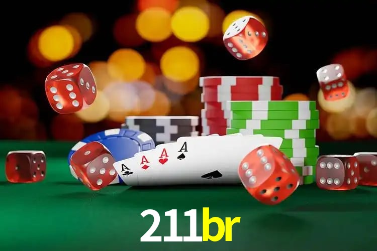Experiência VIP 211br